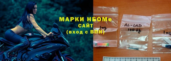 прущий лед Верея