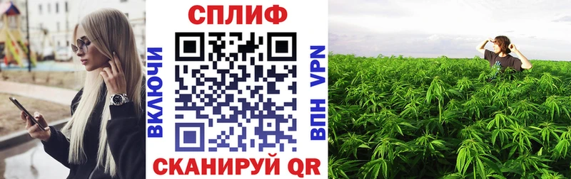 Конопля индика  Купить закладки  Бабушкин 